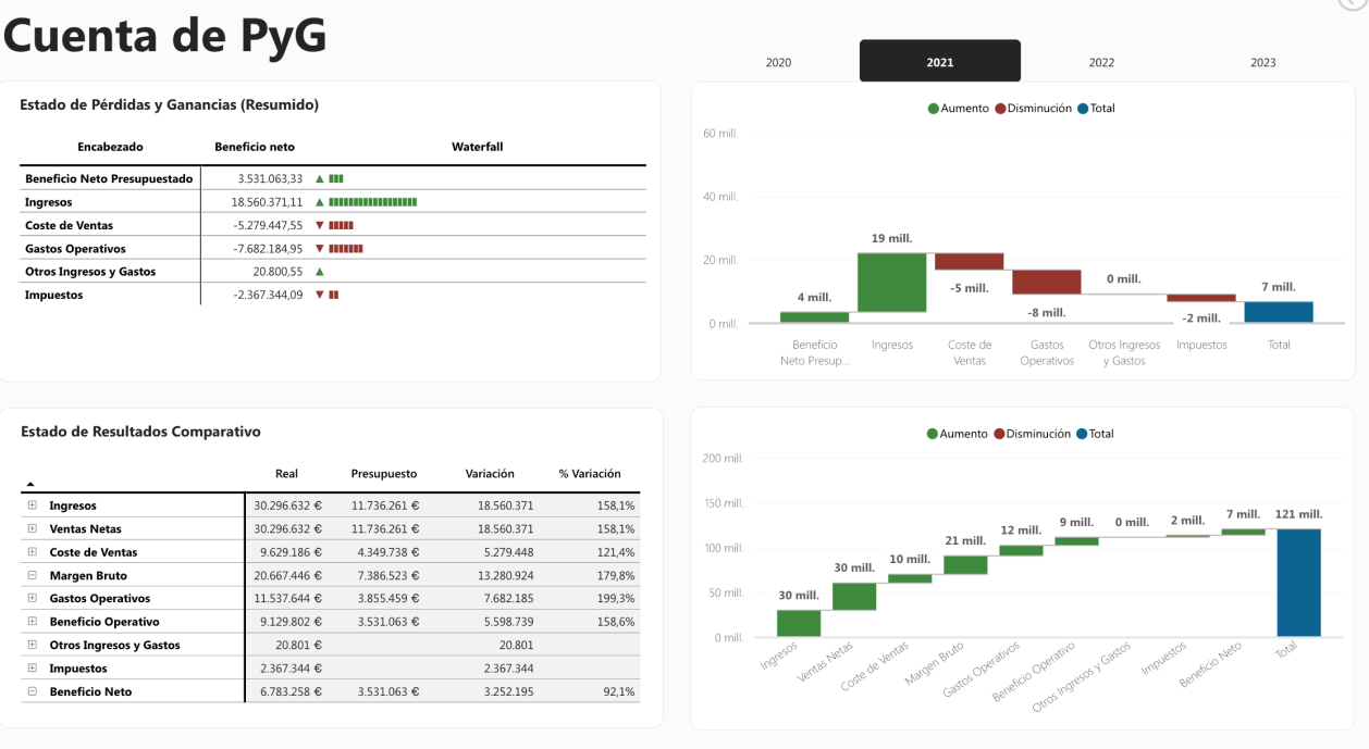 Cuenta de Pérdidas y Ganancias 1